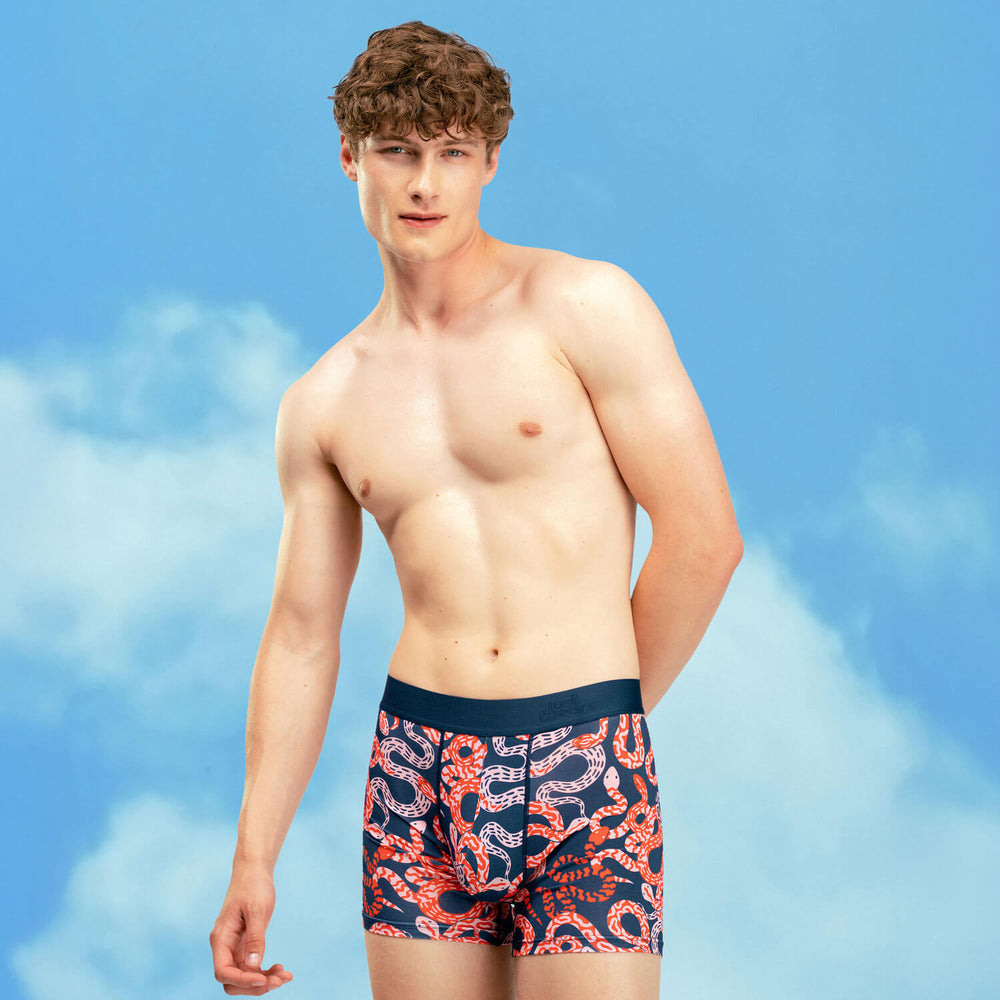 Boxer Briefs Everyday