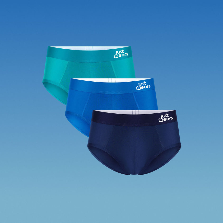 Briefs